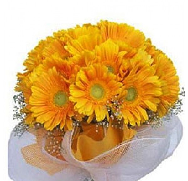 Sunshine Bundle of Yellow Gerberas